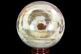 Colorful Petrified Wood Sphere - Madagascar #92400-1